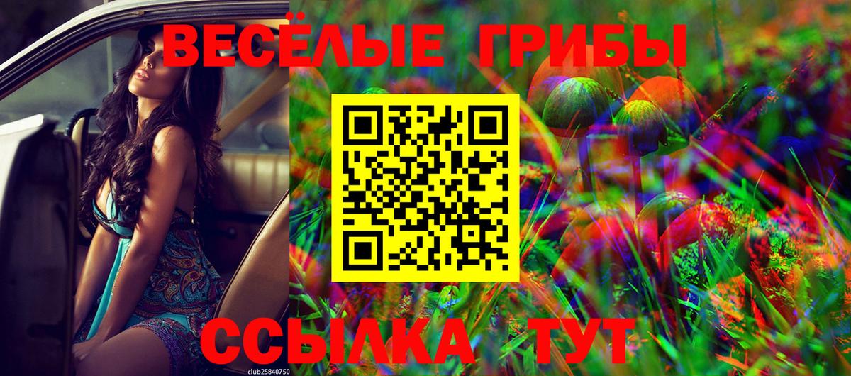 Севастополь  Галлюциногенные грибы мухоморы  Вход с VPN  Галлюциногенные грибы MAGIC MUSHROOMS 