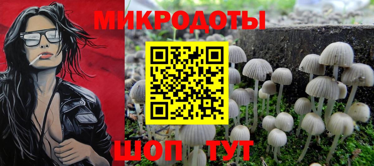 Галлюциногенные грибы GOLDEN TEACHER Севастополь